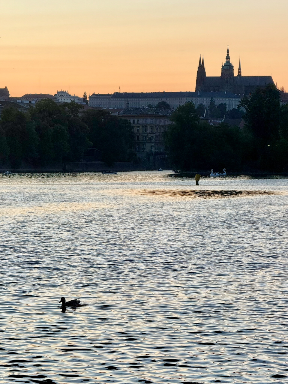 PRAG IMG