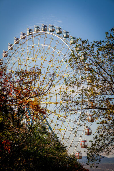 TIFLIS IMG