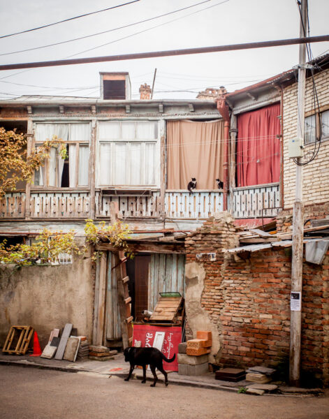 TIFLIS IMG