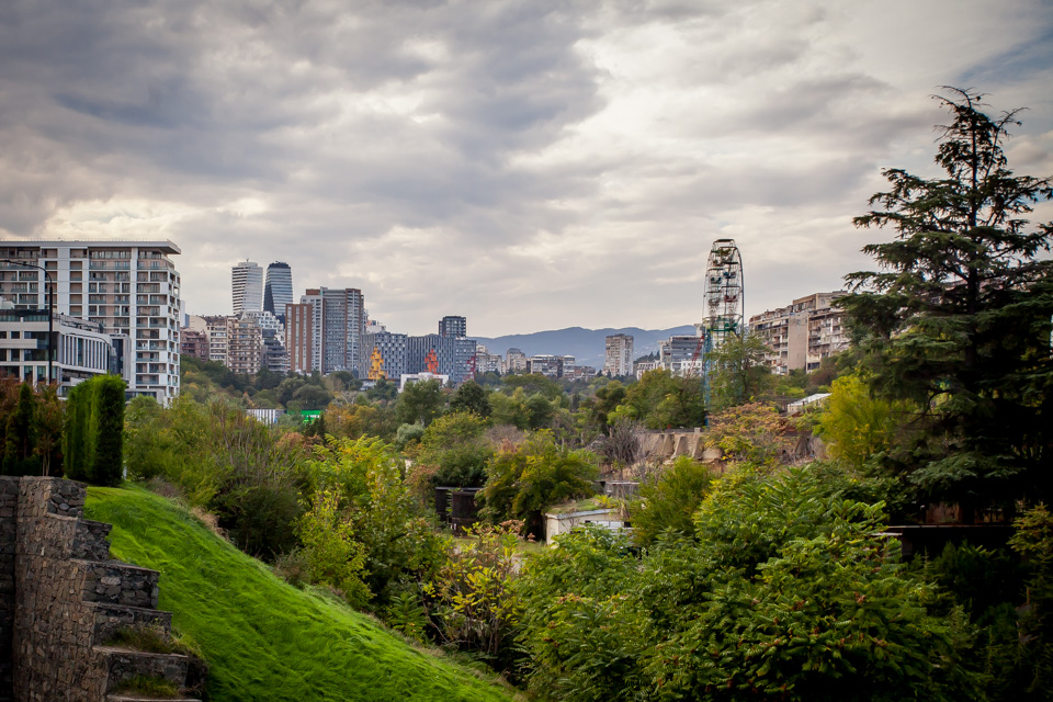 TIFLIS IMG